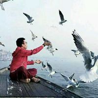 烟雨゜梦兮